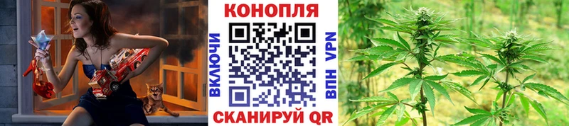 Бошки марихуана индика  как найти наркотики  Пыть-Ях 
